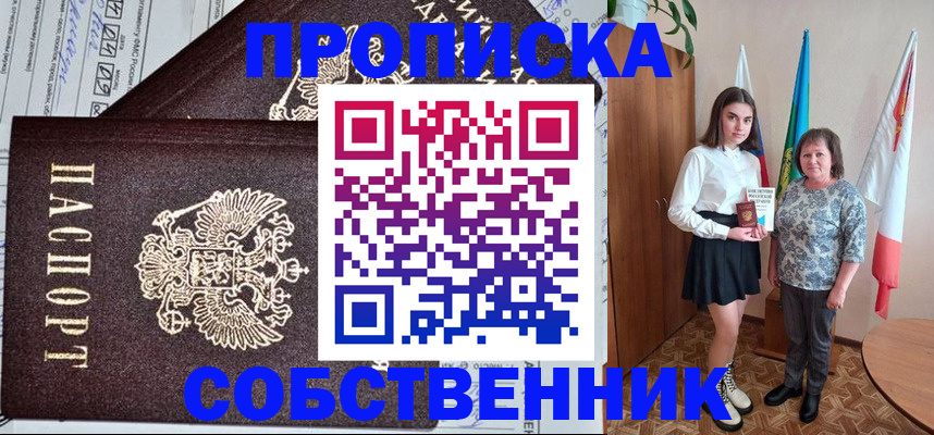 временная регистрация поиск в Палласовке