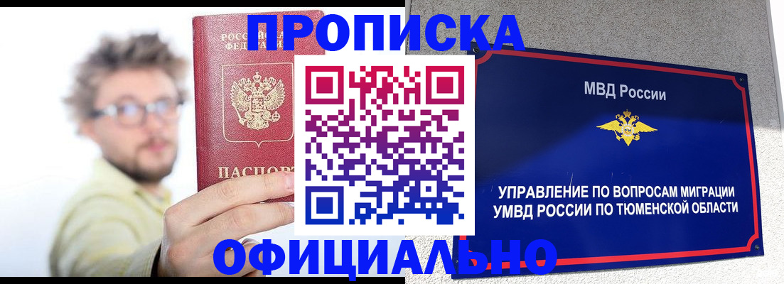 прописка поиск в Палласовке